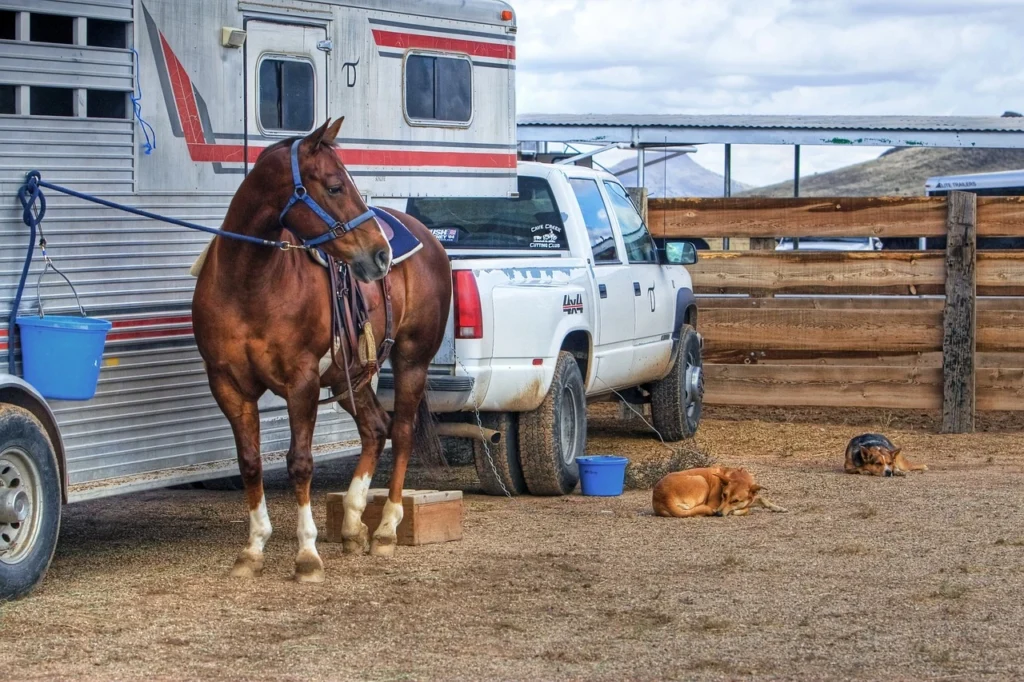 utility trailer tires 